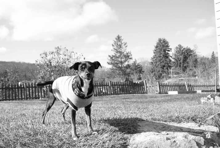 Eleanor Ella Goon Nazarian