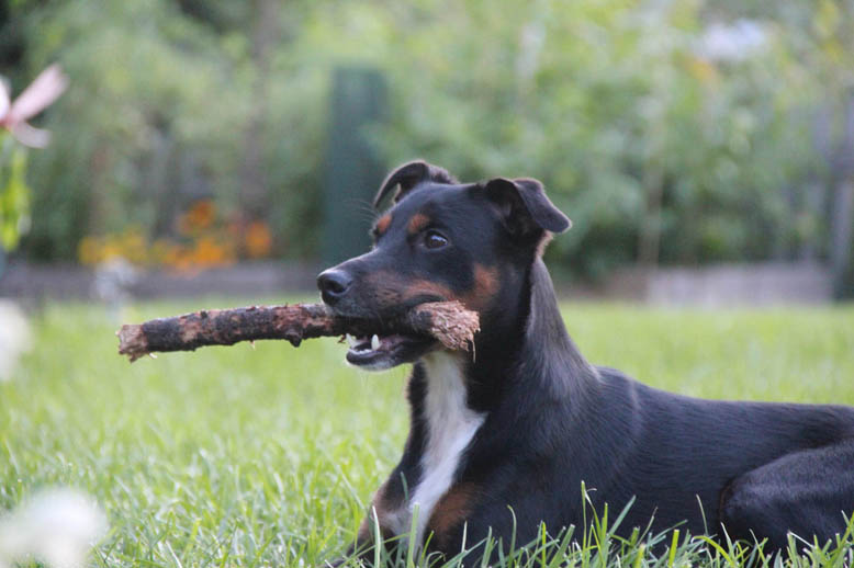 Ella Goon Nazarian with Stick